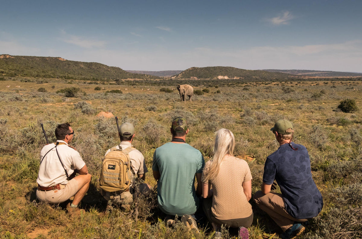 Guided Walking Safaris