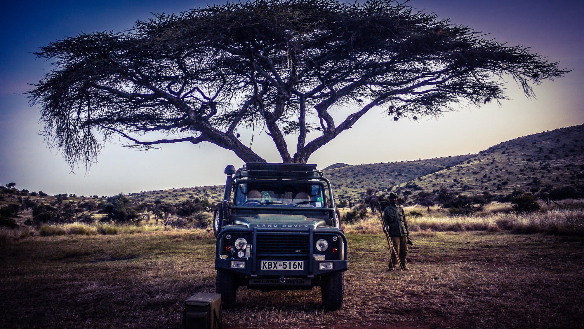 Day and Night Game Drives gallery image 4
