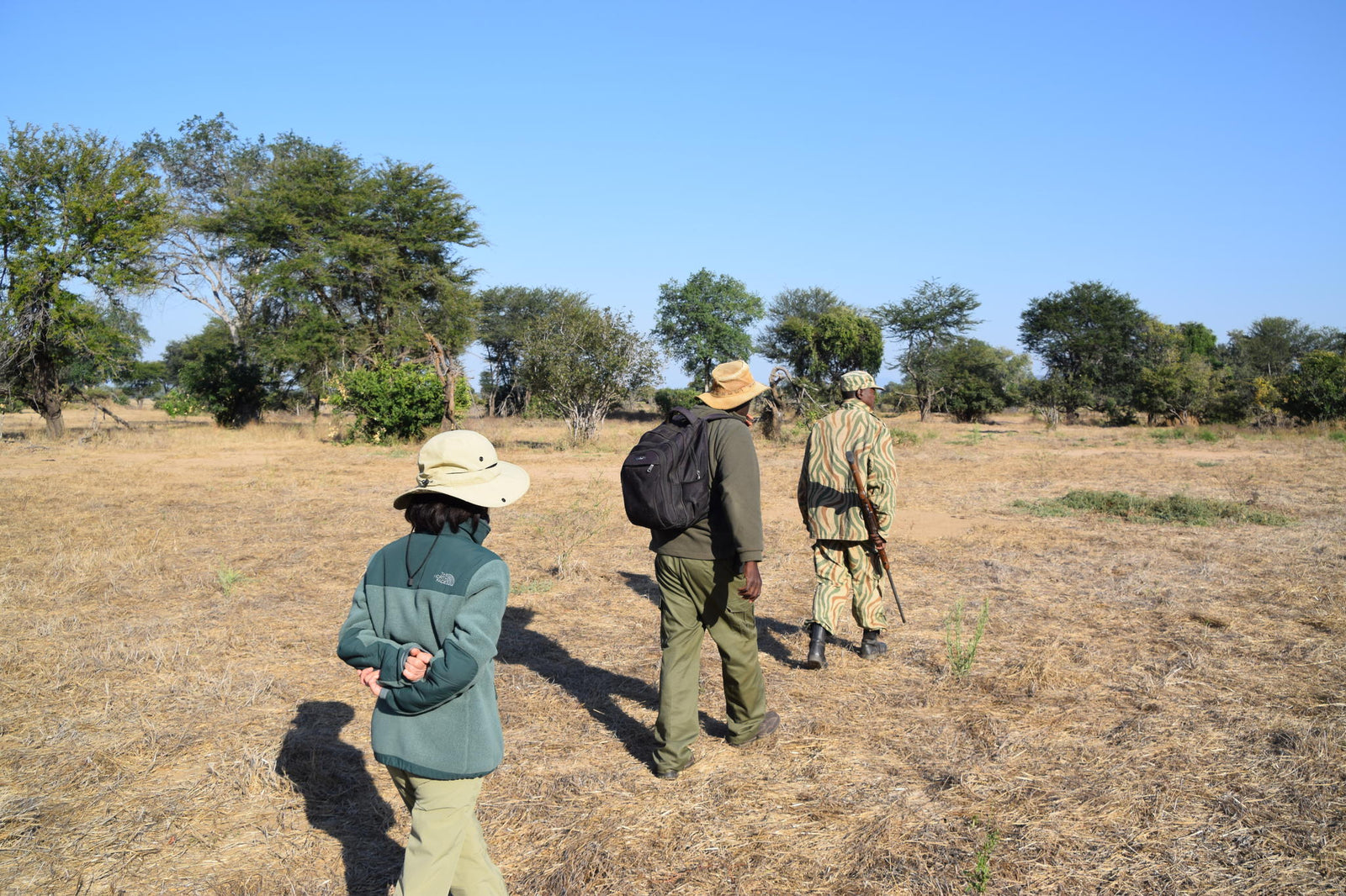 Walking Safaris