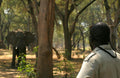 Walking Safaris gallery image 1