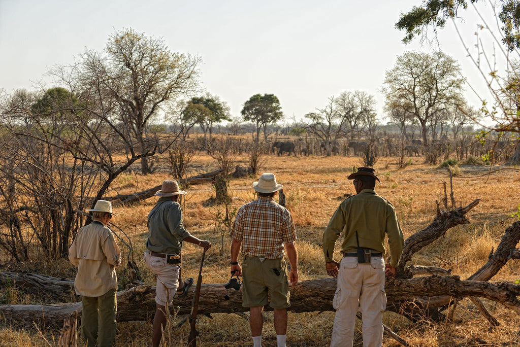 Walking Safaris gallery image 3