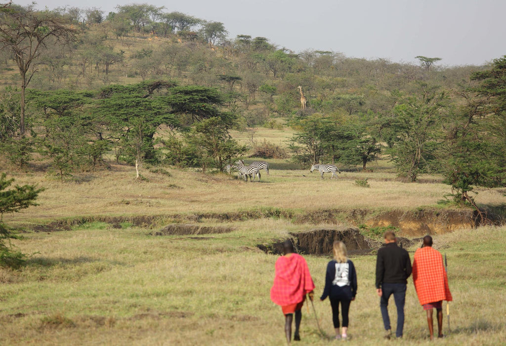 Walking Safari gallery image 1