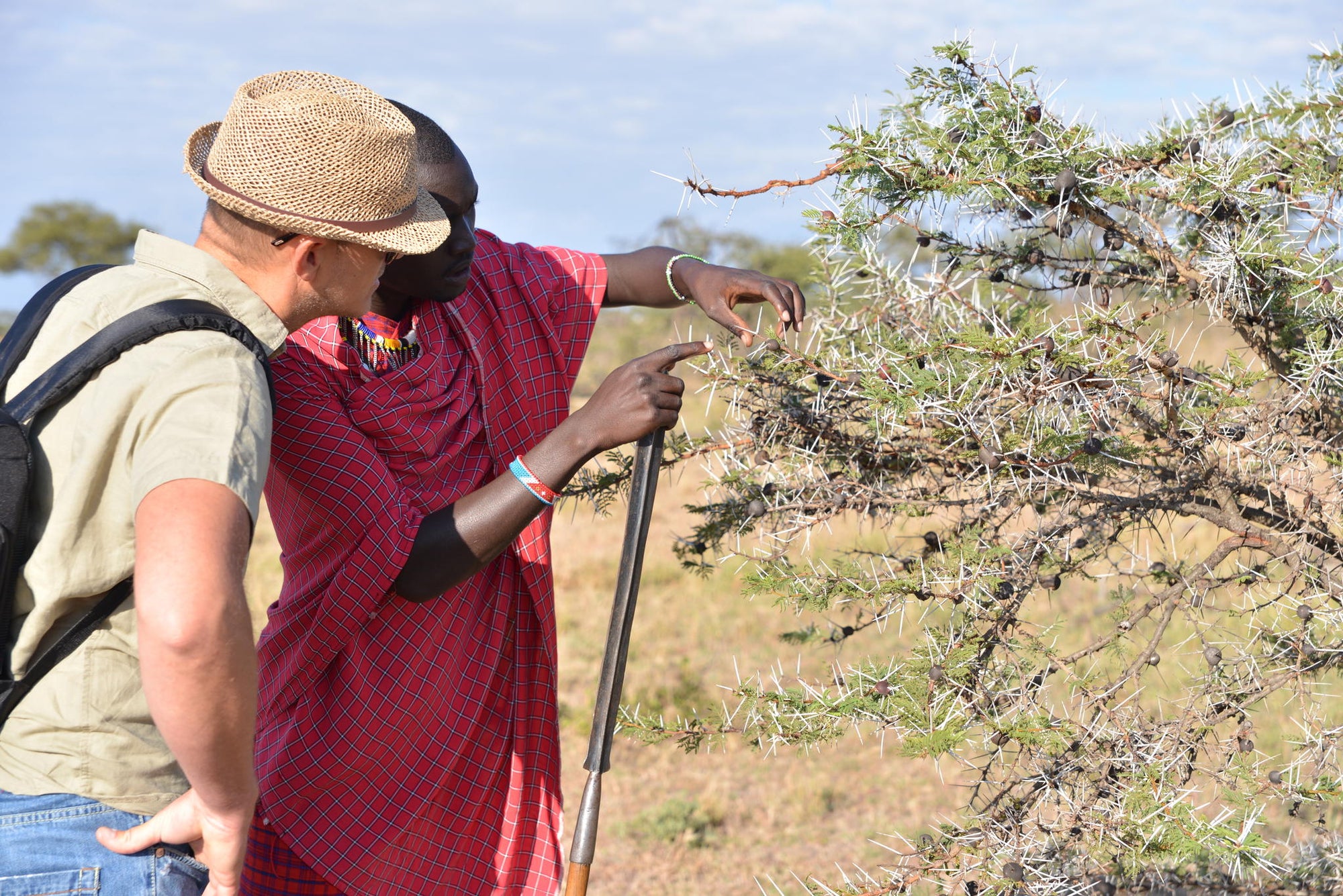 Walking Safari gallery image 2