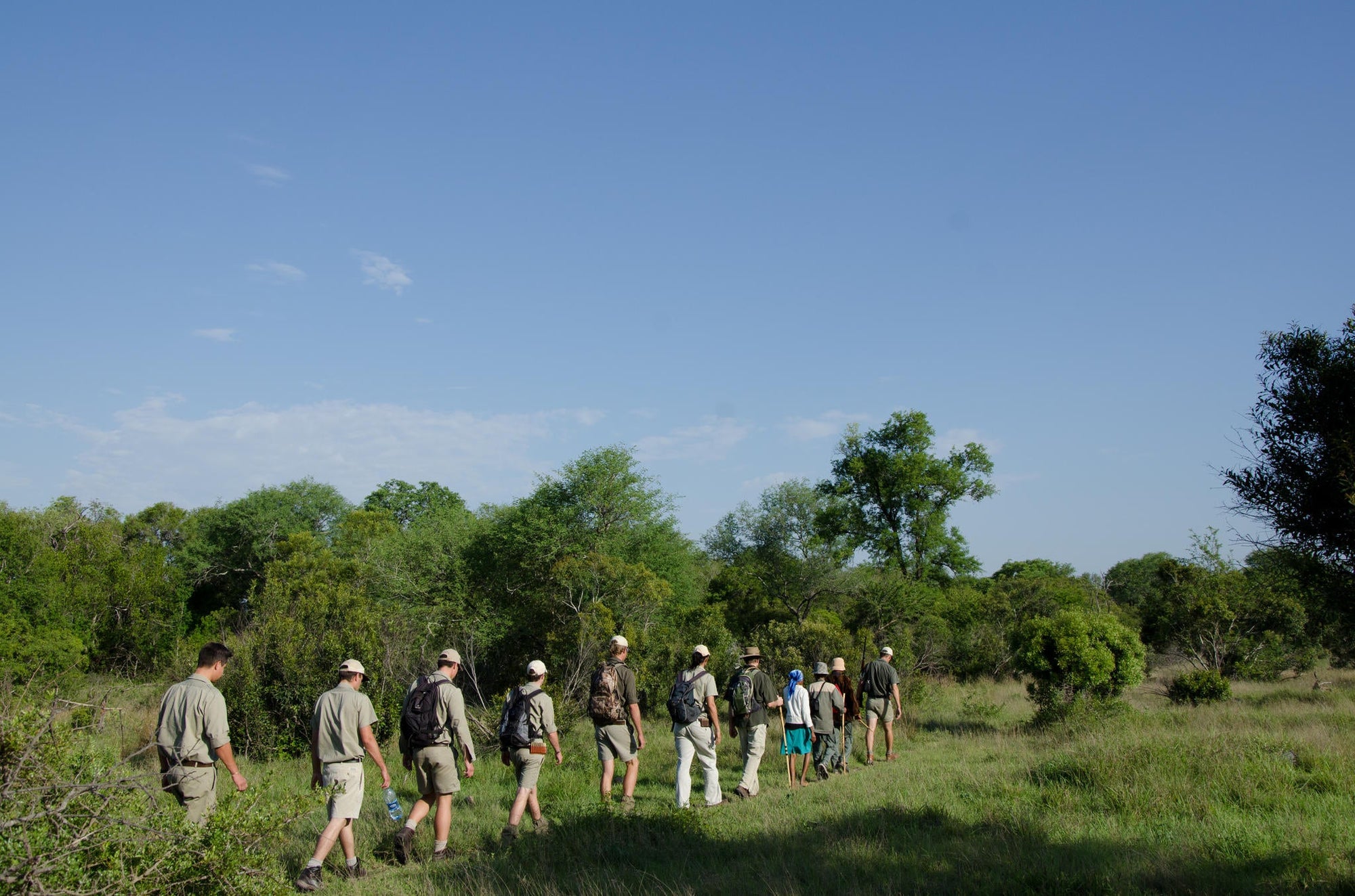 Walking safari gallery image 3