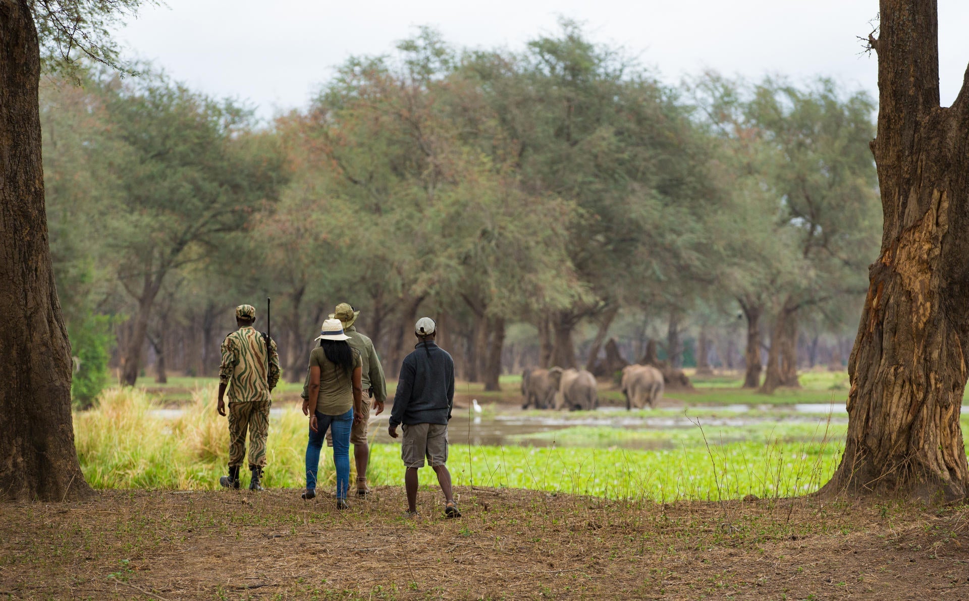 Walking Safaris gallery image 4