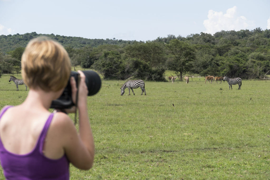 Walking Safaris - Additional Cost - UWA or Mihingo Lodge Activity