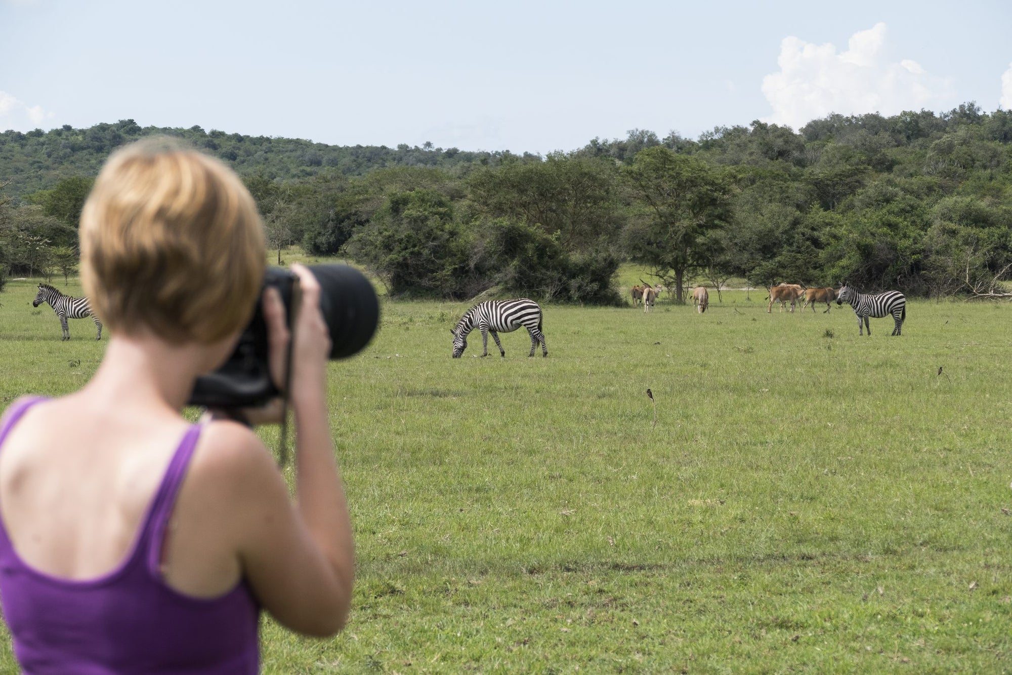 Walking Safaris - Additional Cost - UWA or Mihingo Lodge Activity