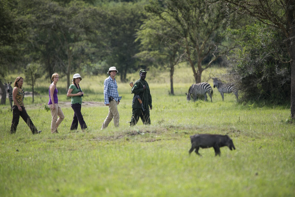 Walking Safaris - Additional Cost - UWA or Mihingo Lodge Activity