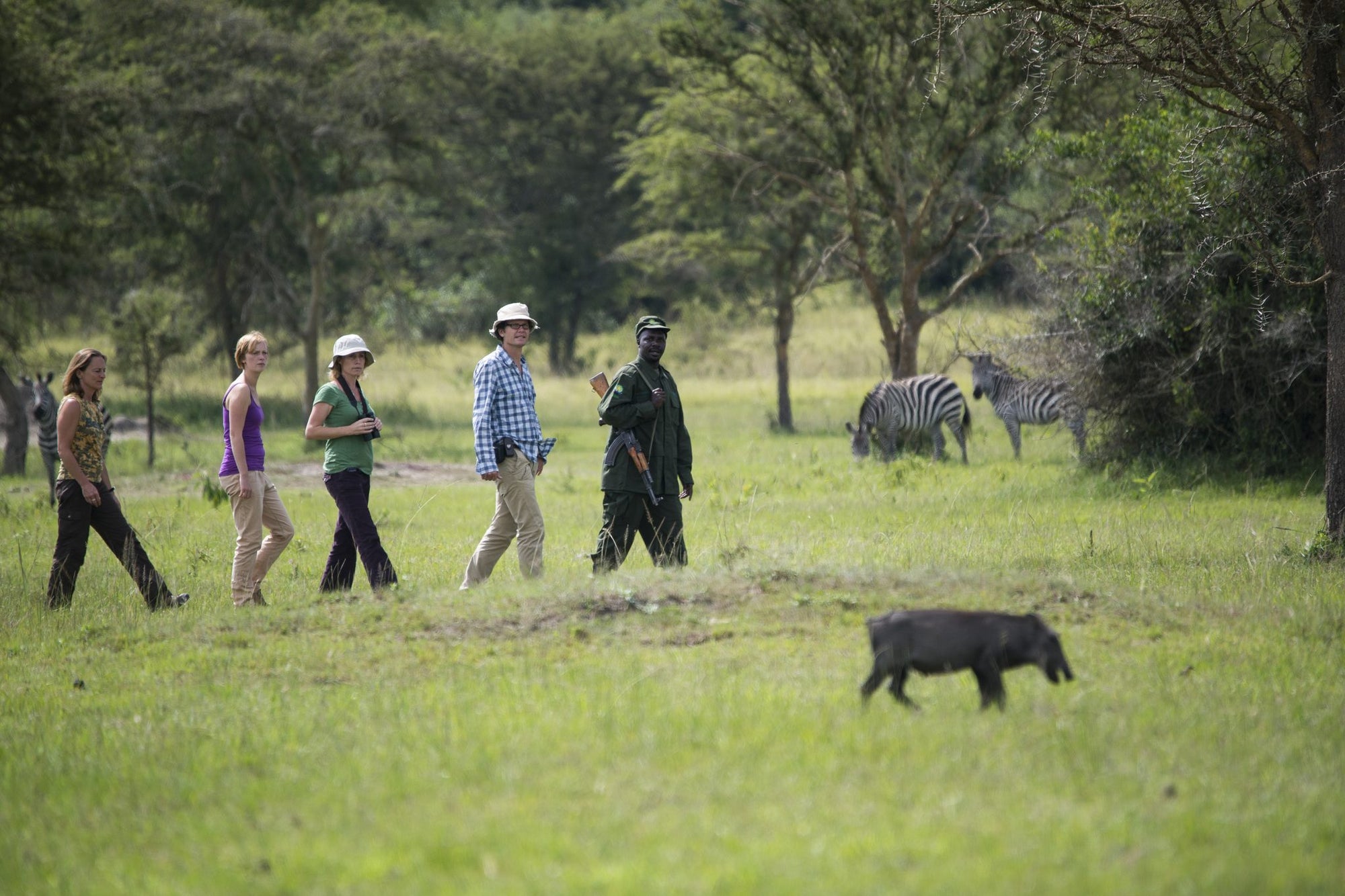 Walking Safaris - Additional Cost - UWA or Mihingo Lodge Activity
