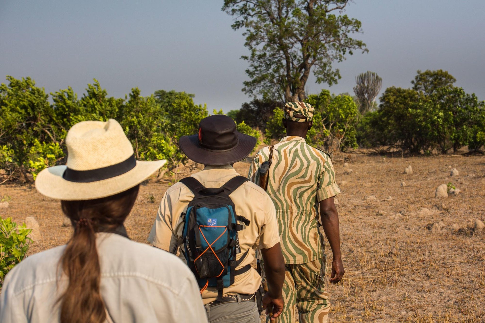 Walking Safaris gallery image 2