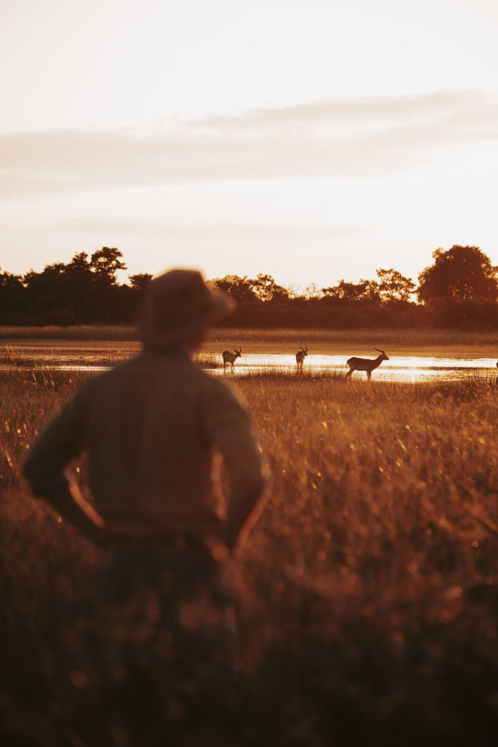 Wilderness Vumbura Plains – Guided Nature Walks * gallery image 6