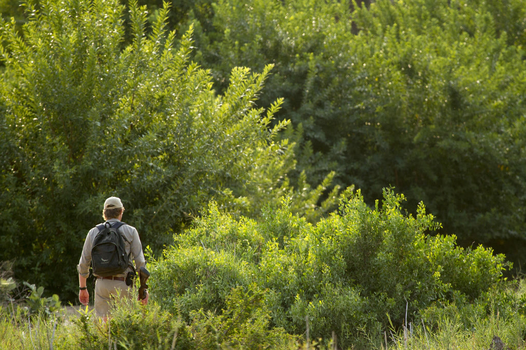 Interpretative nature walks (Included) gallery image 3