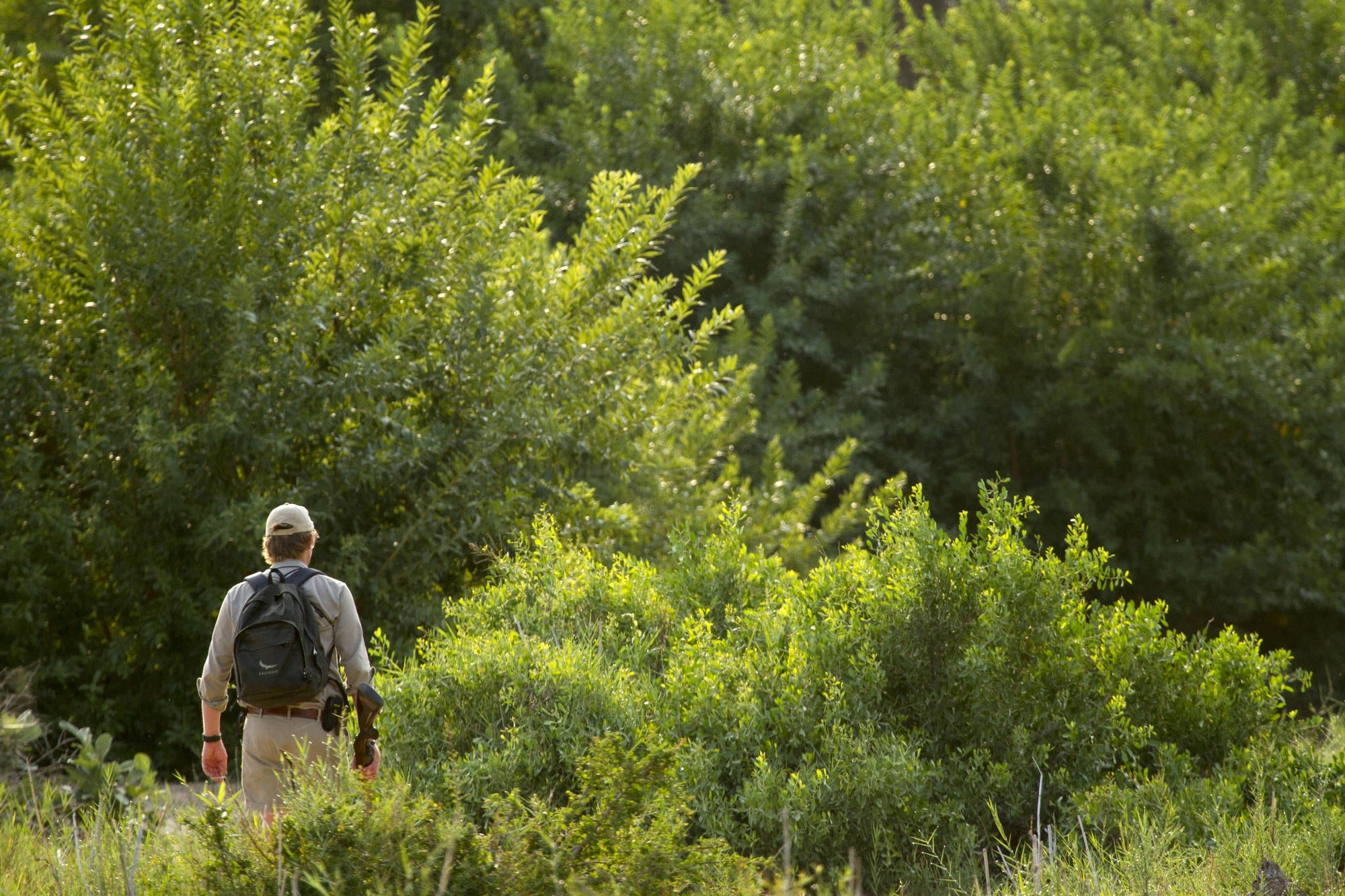 Interpretative nature walks (Included) gallery image 3