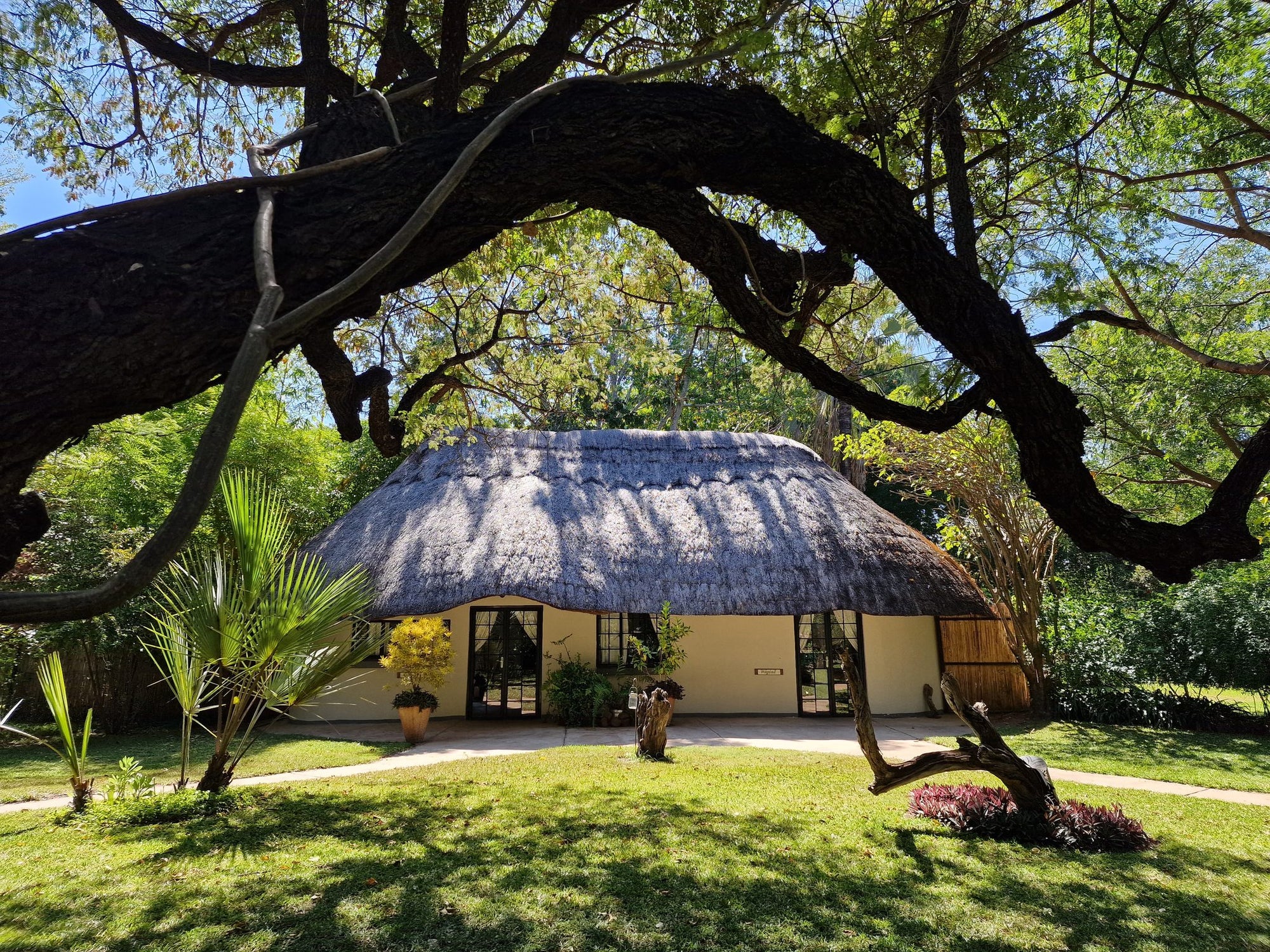 Waterberry Lodge - Lodge Cottages