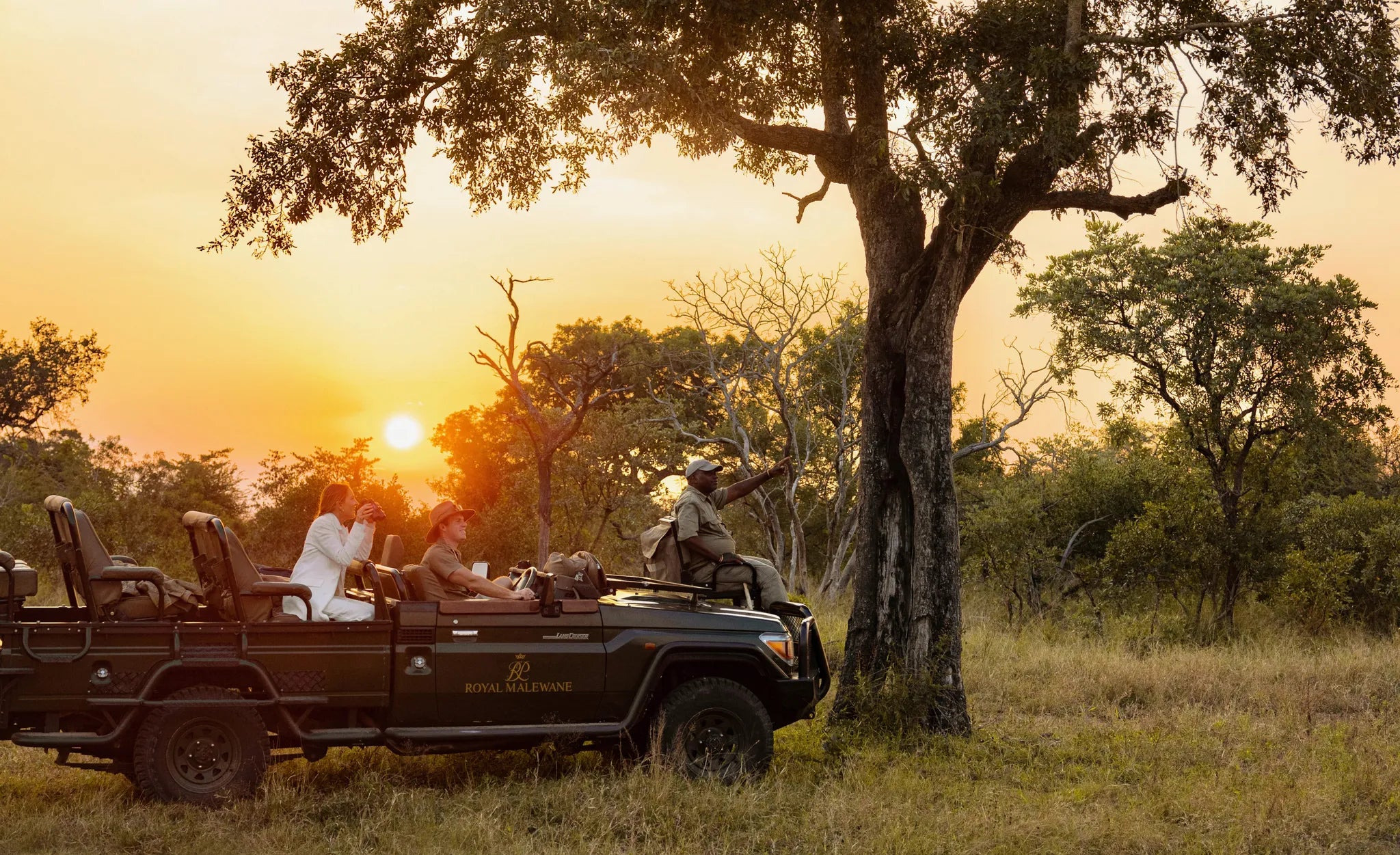 Sunset Game Drive at Waterside House at Royal Malewane, Hoedspruit, South Africa.