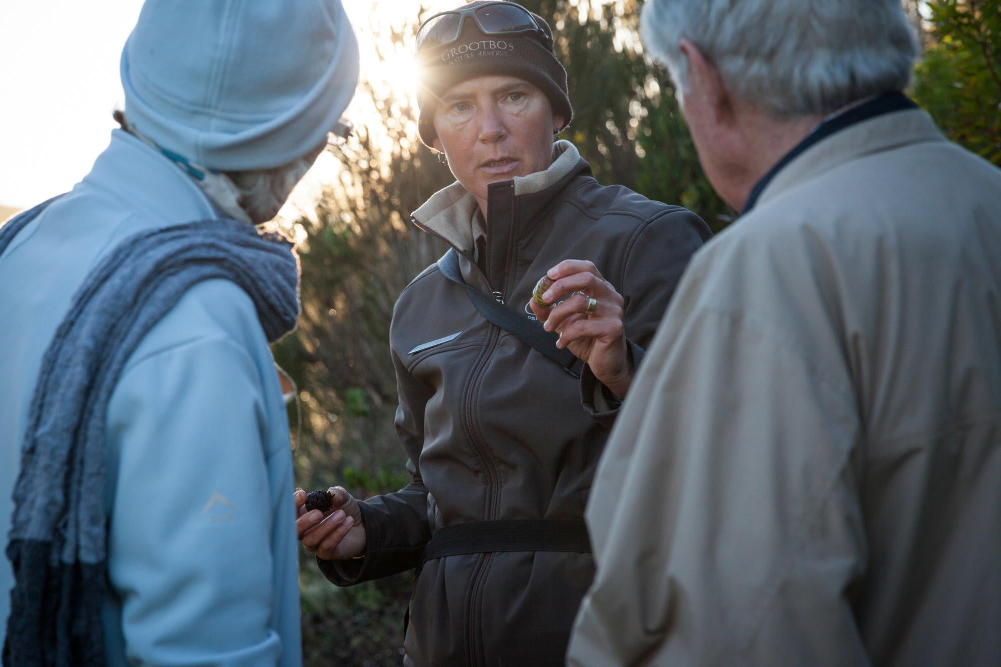 Walks and Hikes gallery image 3