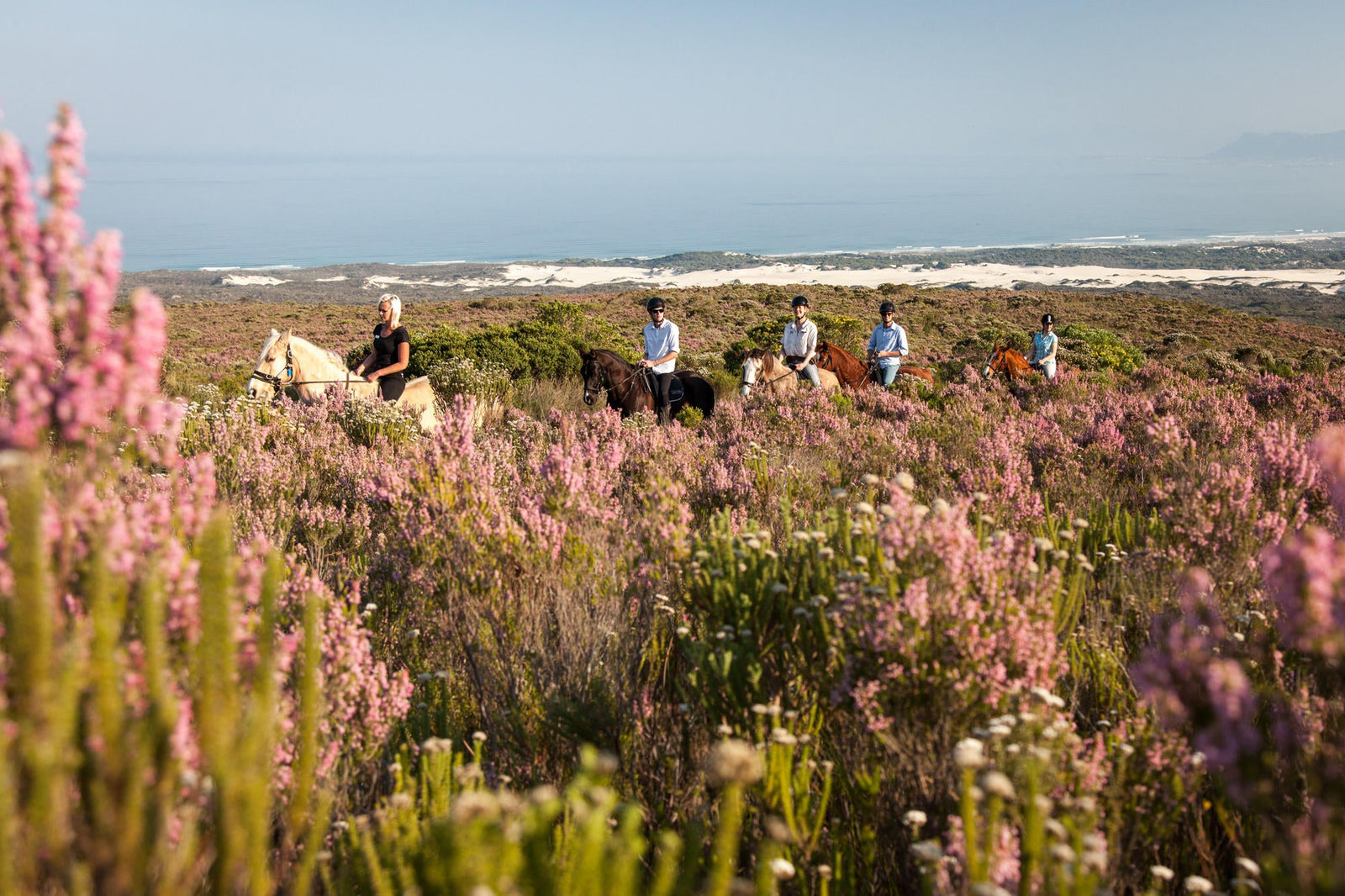 Horse Riding on the Reserve