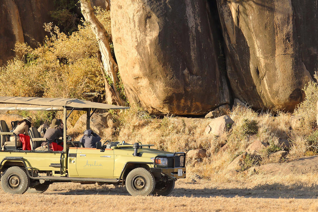 Game Drives