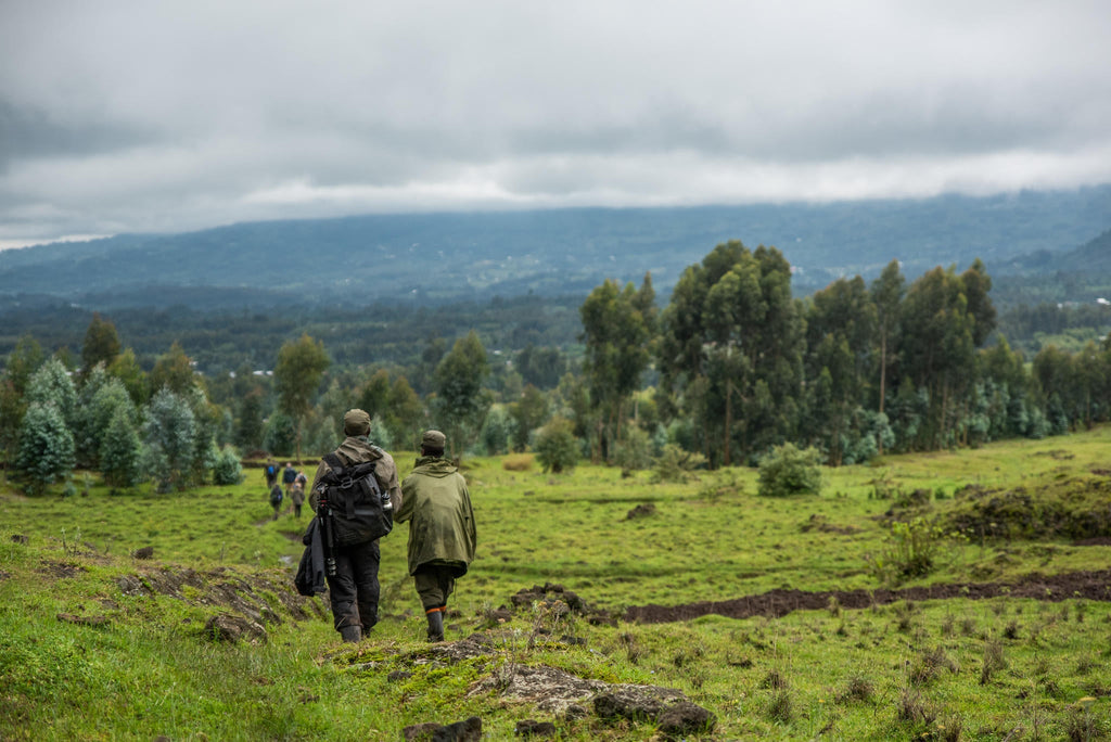 Wilderness Sabyinyo – Gorilla Trekking * gallery image 14