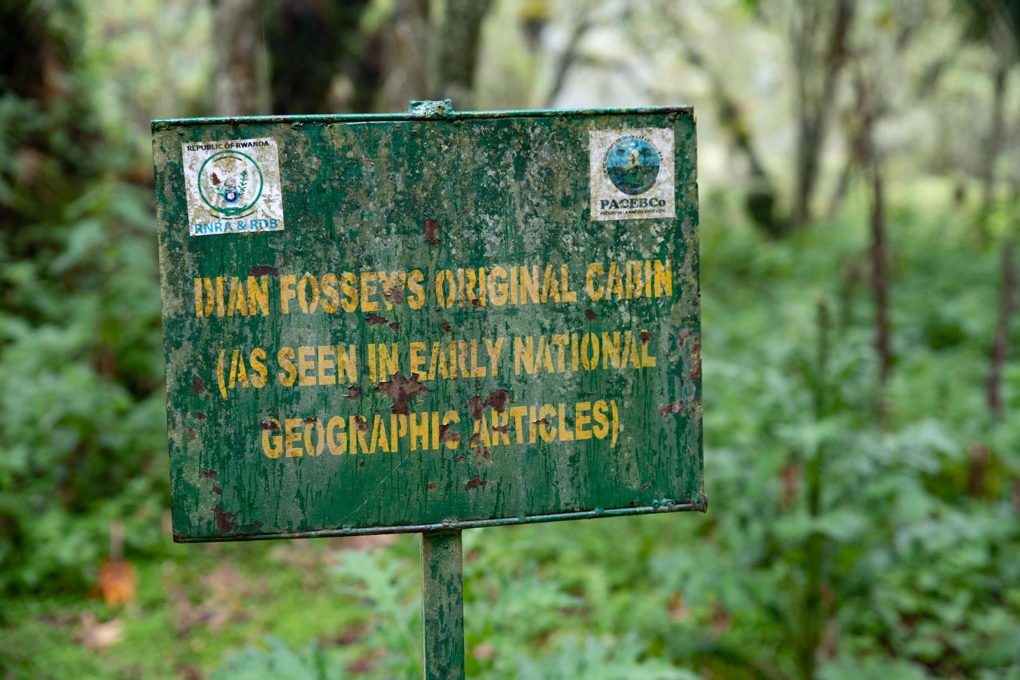 Wilderness Sabyinyo – Trek To Dian Fossey Research Camp & Grave gallery image 7