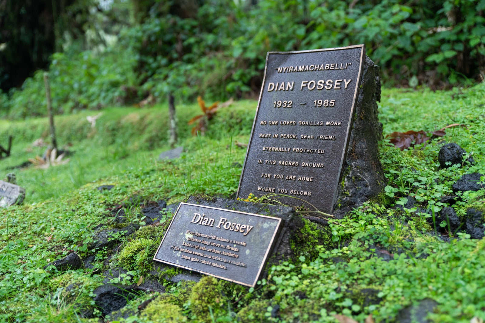 Wilderness Sabyinyo – Trek To Dian Fossey Research Camp & Grave