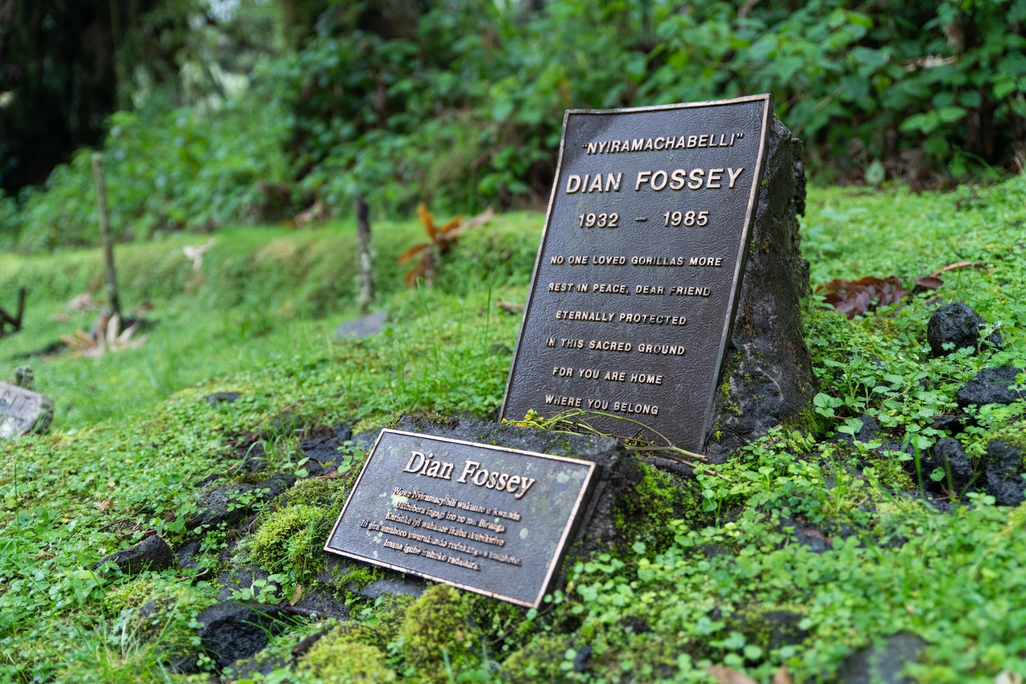 Wilderness Sabyinyo – Trek To Dian Fossey Research Camp & Grave