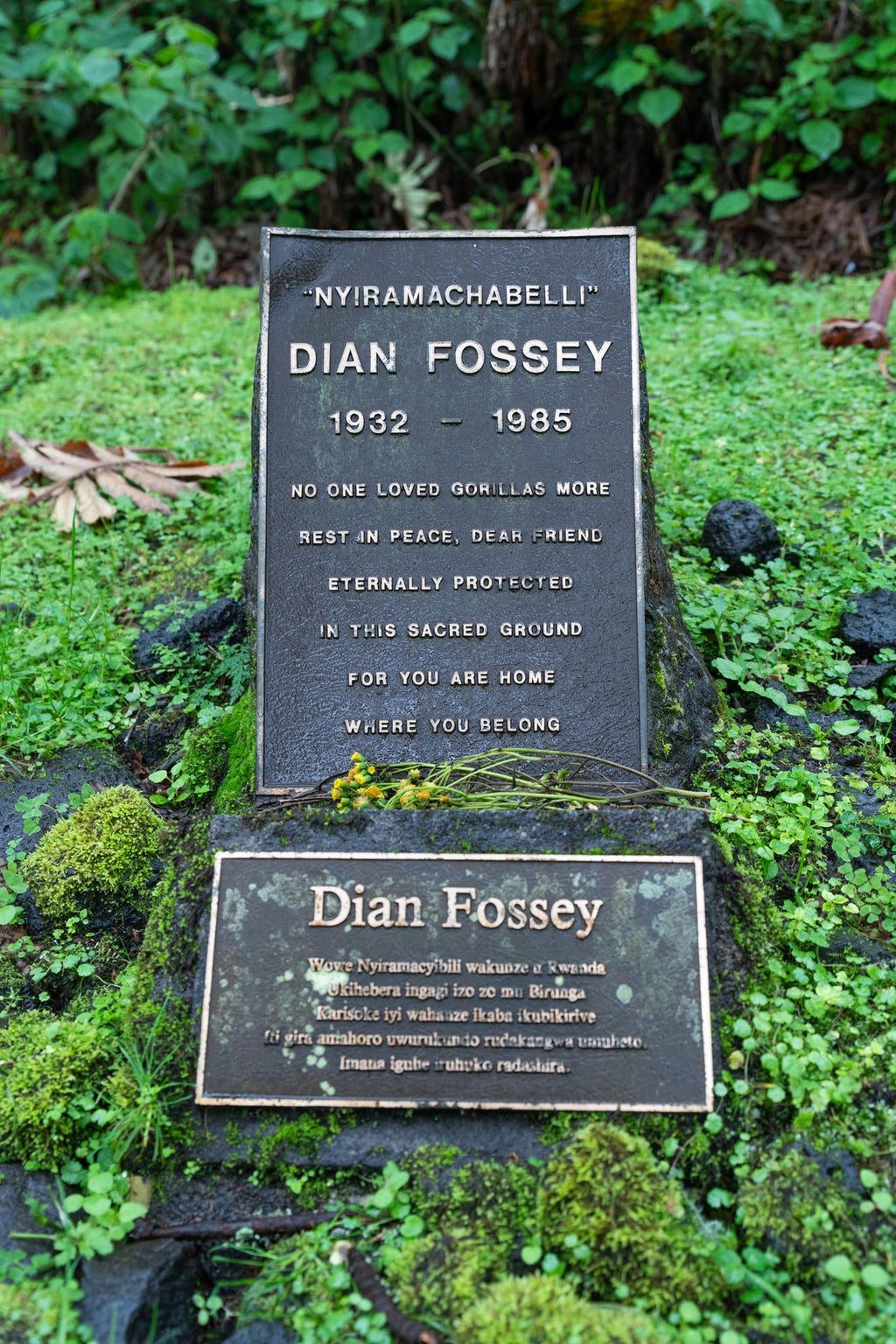 Wilderness Sabyinyo – Trek To Dian Fossey Research Camp & Grave gallery image 4