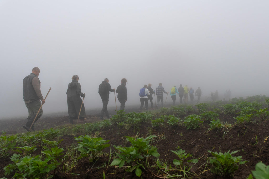 Wilderness Sabyinyo – Golden Monkey Trekking * gallery image 9