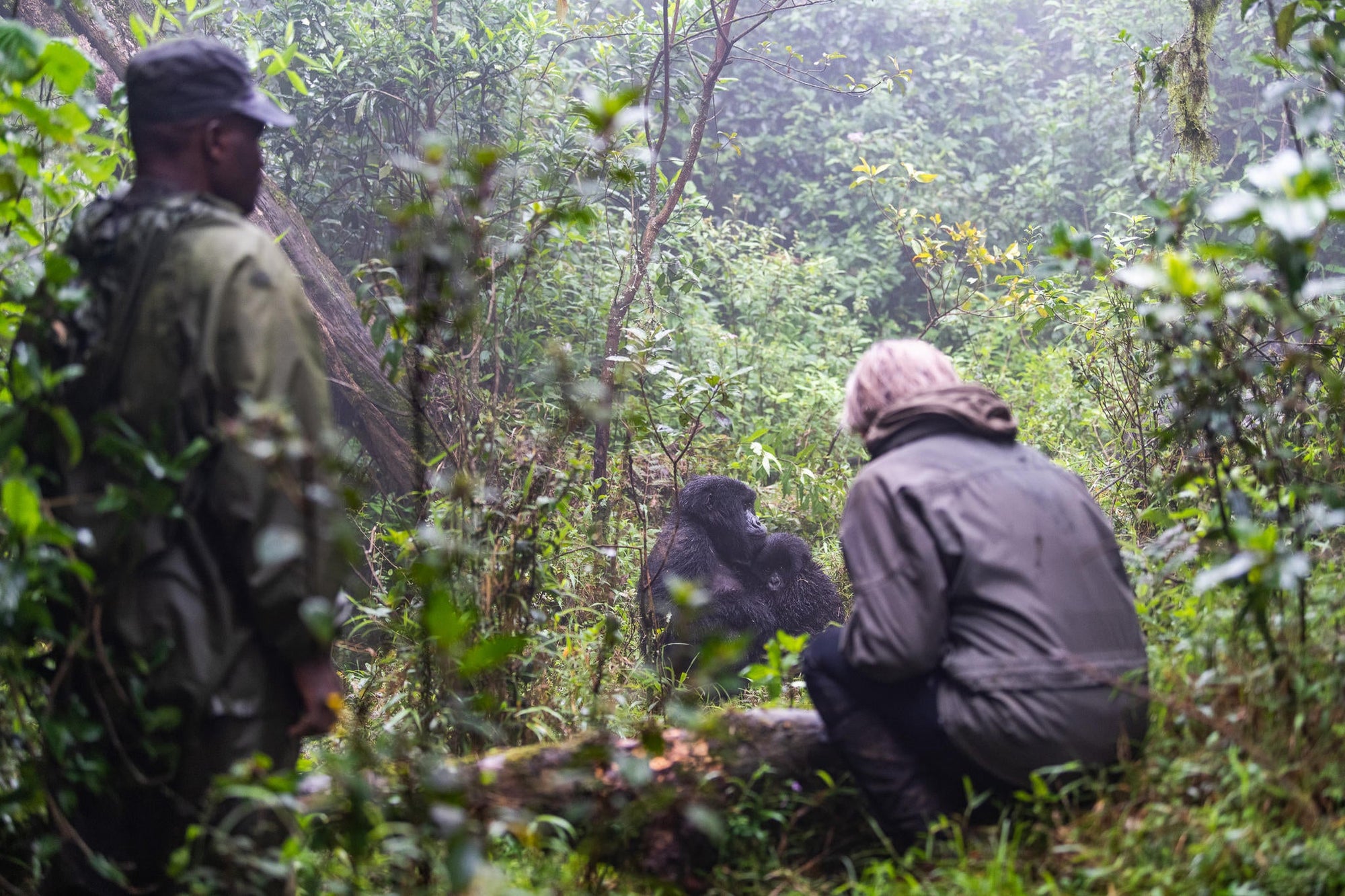 Wilderness Sabyinyo – Gorilla Trekking * gallery image 10