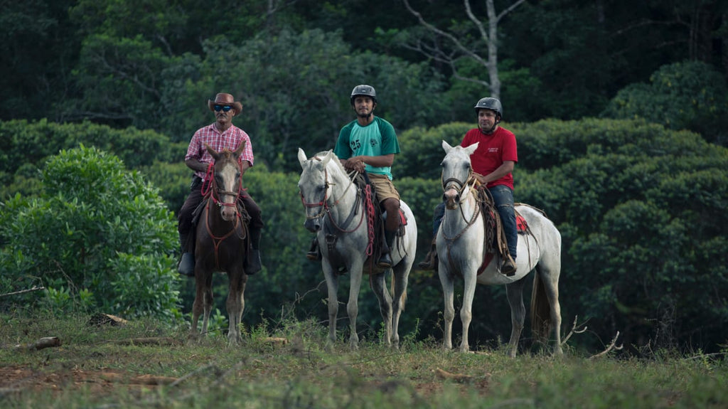 HORSE BACK RIDING
