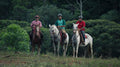 HORSE BACK RIDING