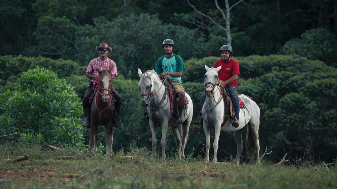HORSE BACK RIDING