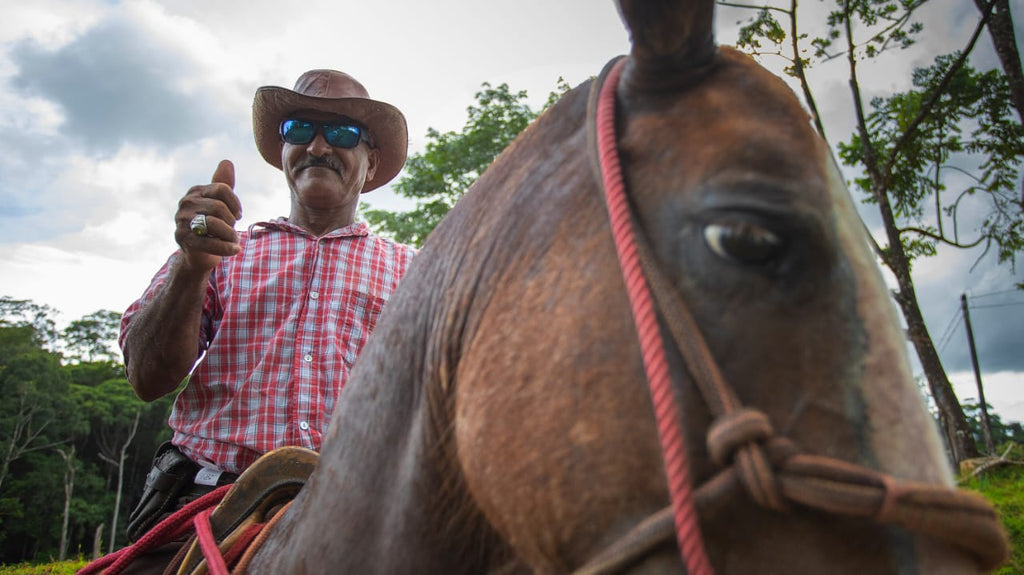 HORSE BACK RIDING