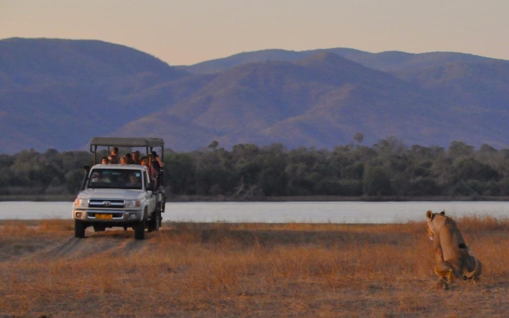 Half Day Game Drive gallery image 3