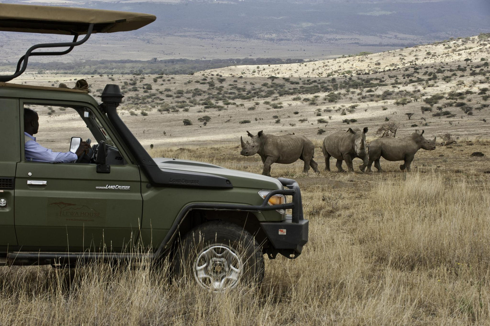 Day and Night Game Drives
