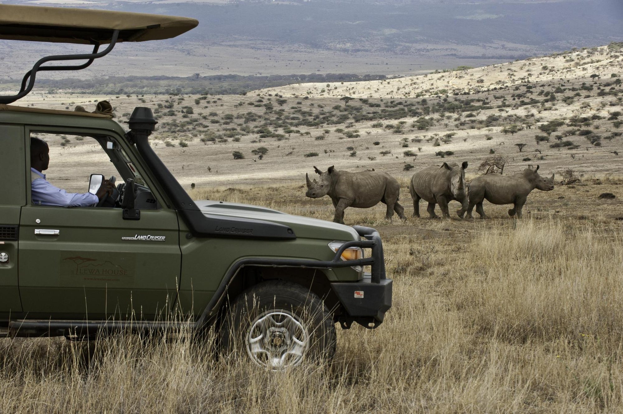 Day and Night Game Drives gallery image 1