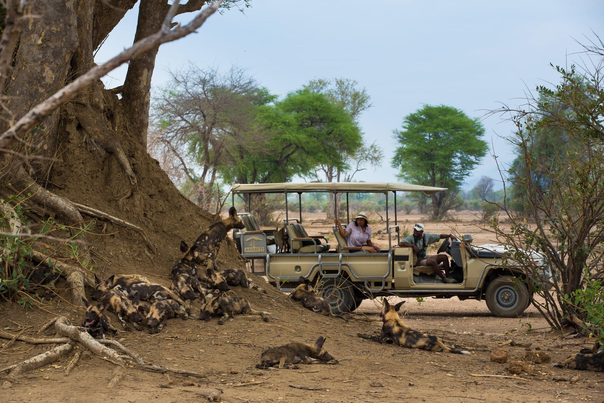 Game Drives gallery image 5