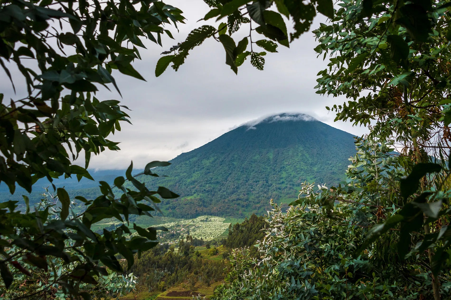Wilderness Bisate at Wilderness Bisate, Volcanoes National Park, Rwanda.