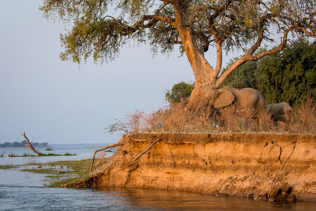 Wilderness Chikwenya at Wilderness Chikwenya, Mana Pools National Park, Zimbabwe.