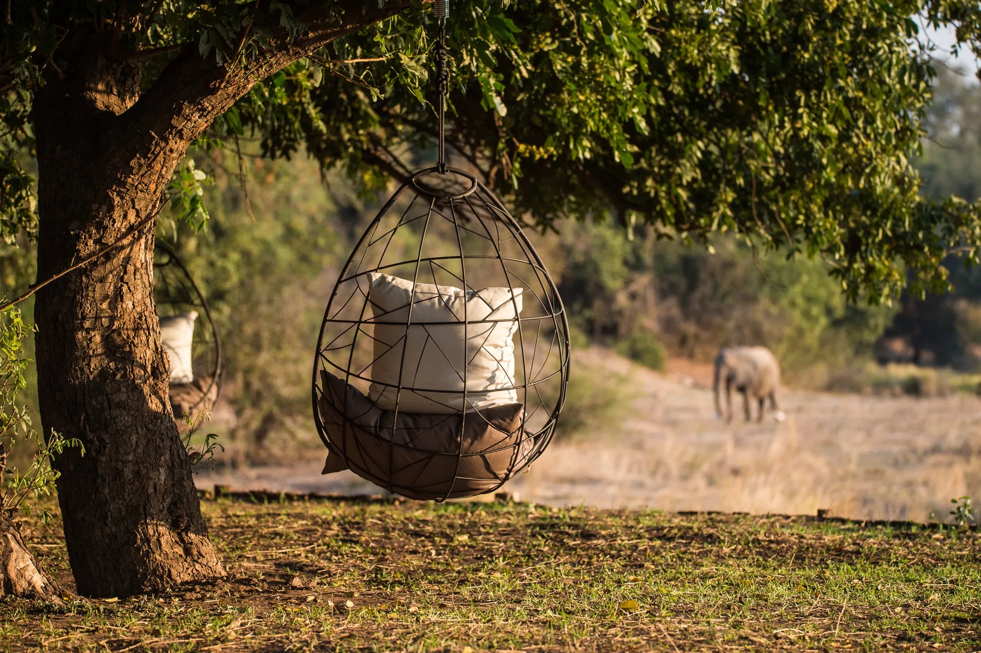 Wilderness Chikwenya at Wilderness Chikwenya, Mana Pools National Park, Zimbabwe.