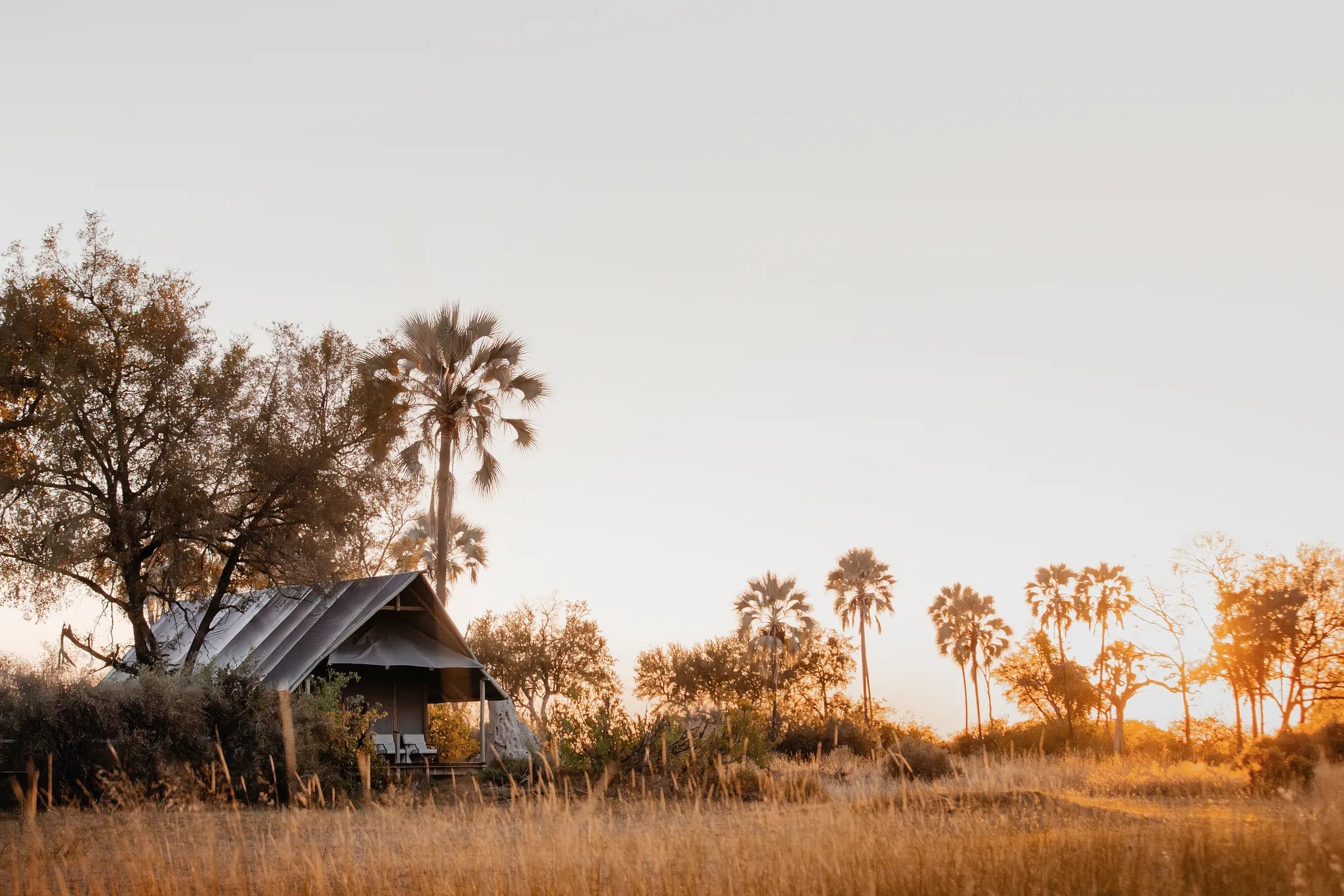 Wilderness Chitabe Lediba at Wilderness Chitabe Lediba, Okavango Delta, Botswana.