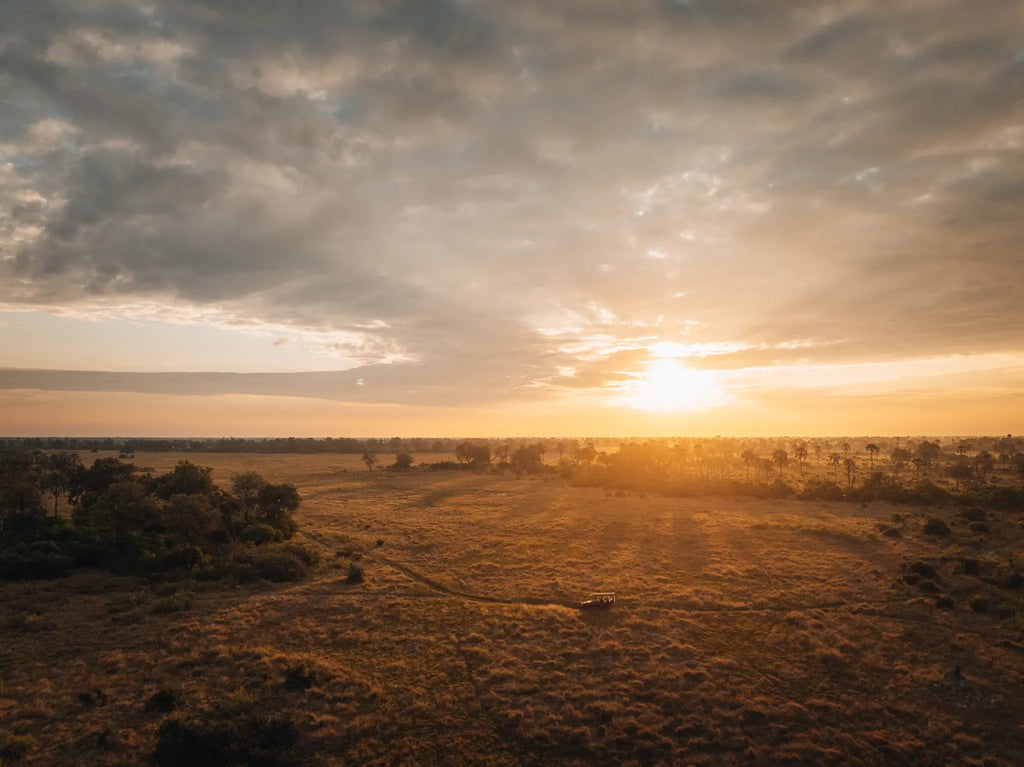 Wilderness Chitabe at Wilderness Chitabe, Okavango Delta, Botswana.