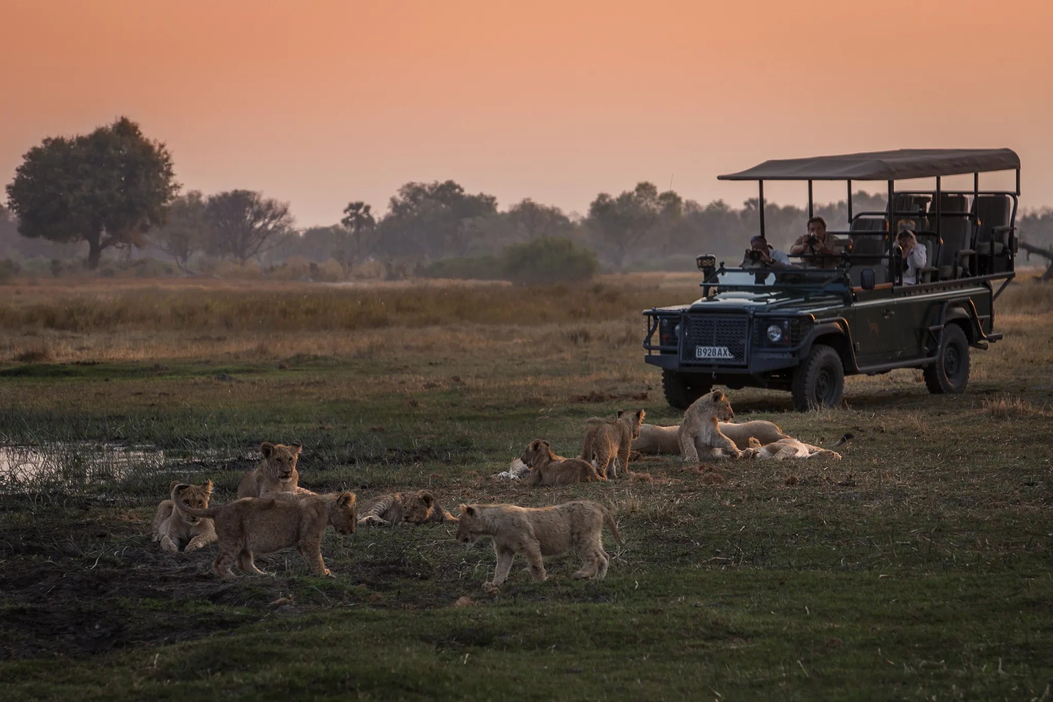 Wilderness Chitabe at Wilderness Chitabe, Okavango Delta, Botswana.