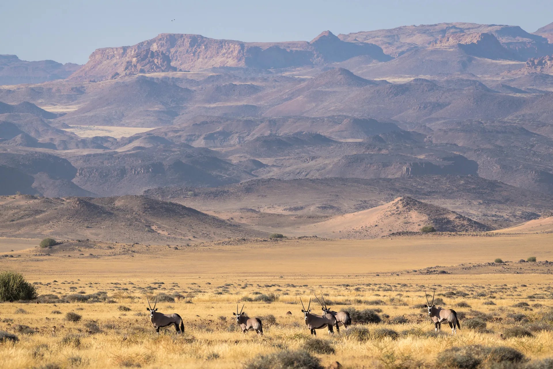 Wilderness Damaraland Camp at Wilderness Damaraland Camp, Twyfelfontein, Namibia.