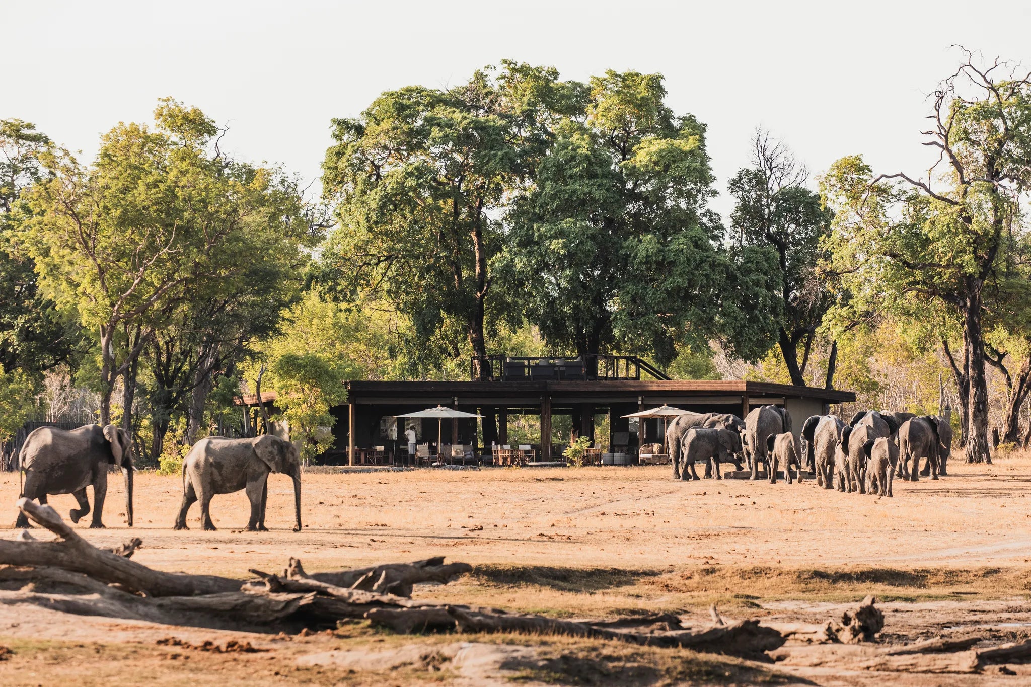 Wilderness Davison’s at Wilderness Davison's, Eastern Hwange National Park, Zimbabwe.