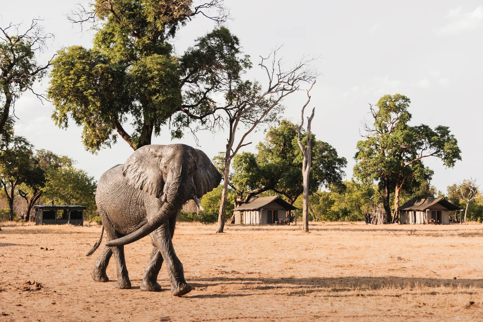 Room gallery image 2.