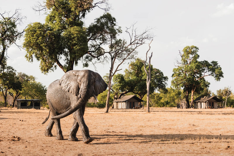 Standard Twin/Double Tent(s)