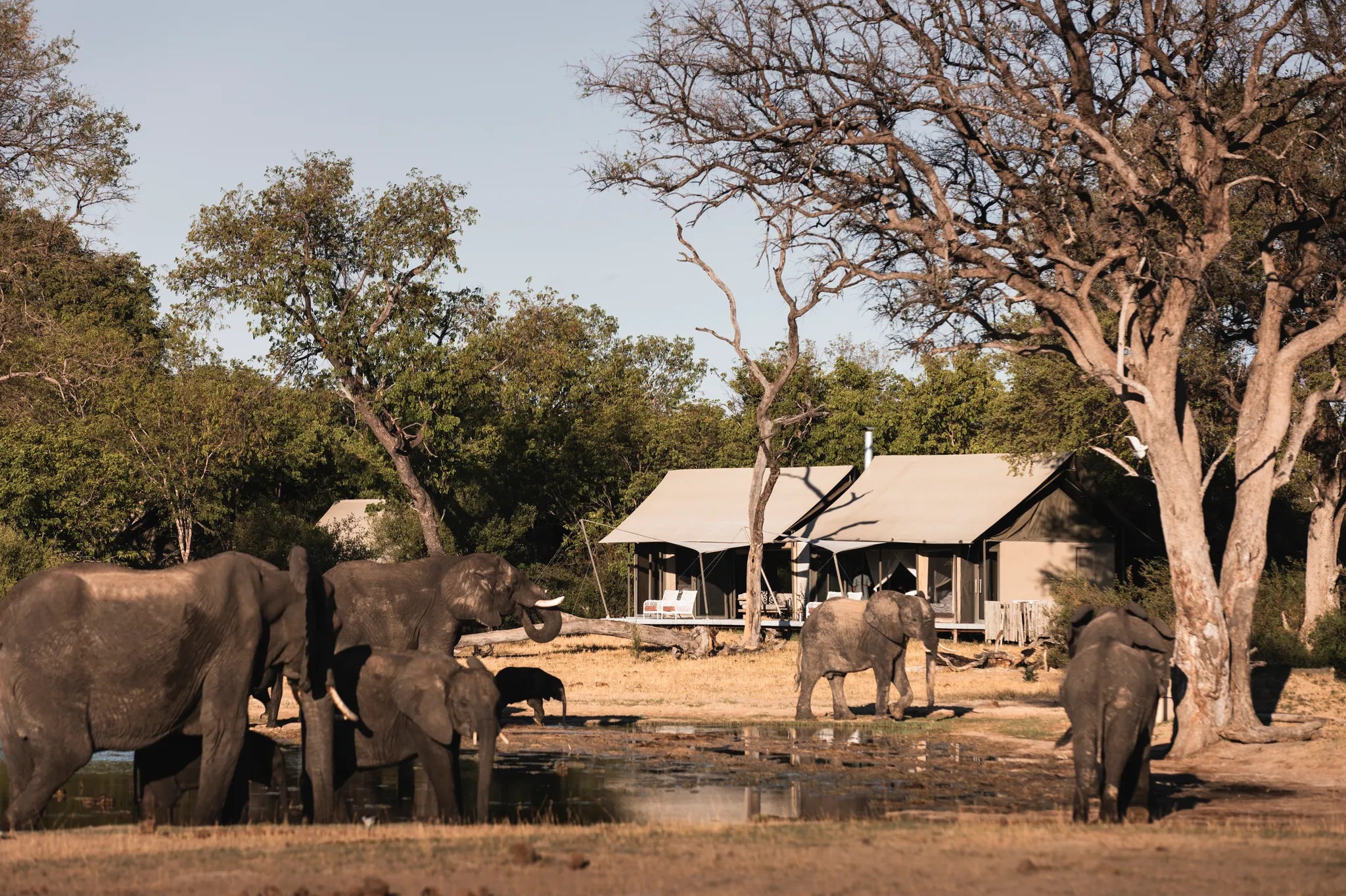 Wilderness Linkwasha at Wilderness Linkwasha, Eastern Hwange National Park, Zimbabwe.