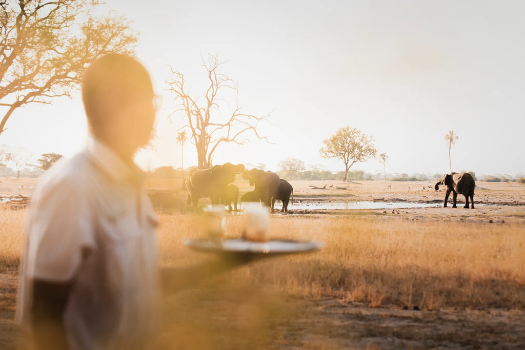 Wilderness Linkwasha at Wilderness Linkwasha, Eastern Hwange National Park, Zimbabwe.