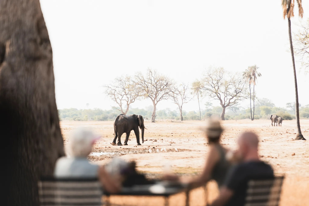 Wilderness Linkwasha at Wilderness Linkwasha, Eastern Hwange National Park, Zimbabwe.